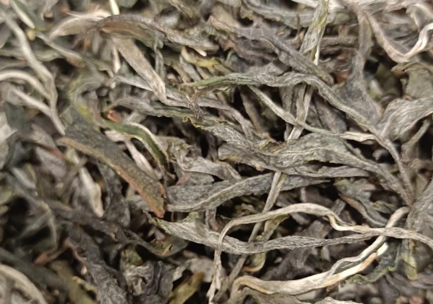 缺少标准化，是茶难卖的根源？